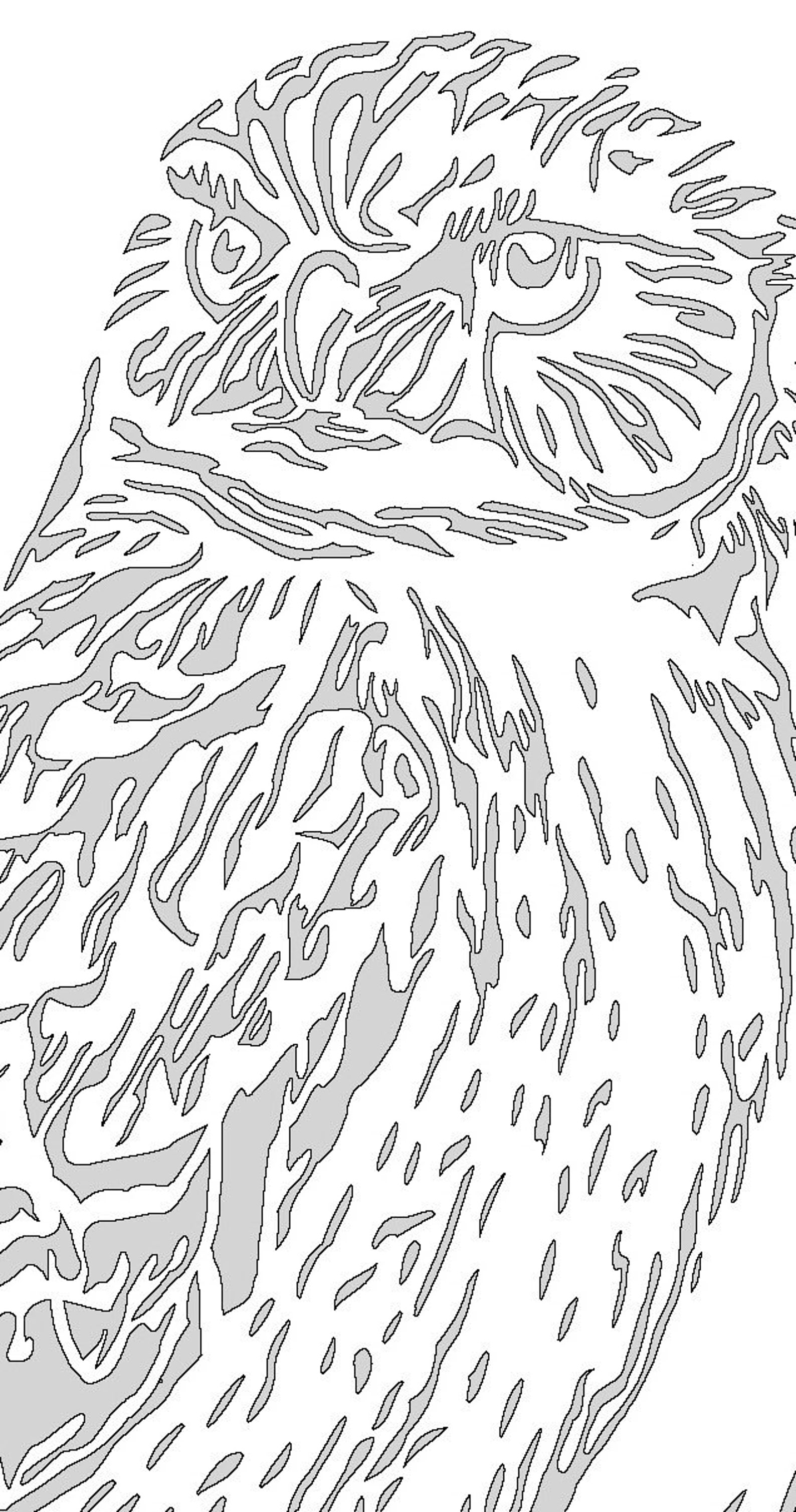 Owl scroll saw pattern Svg Dxf Pdf Jpeg Etsy