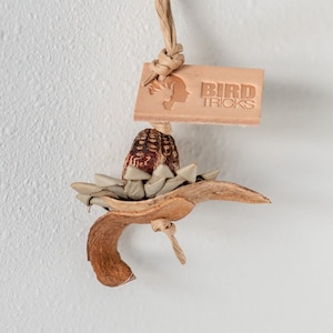 Flower - Tiny ALL NATURAL Premium Bird Toys| BirdTricks Toys Exclusive | Pod cup, Crinkle Paper | Budgie, Cockatiel, Conure Parrot