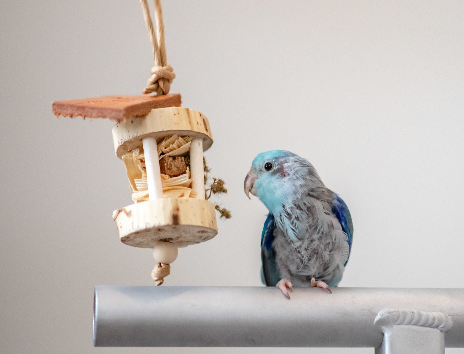 Aldi's Hourglass Tiny ALL NATURAL Premium Bird Toys Birdtricks Toys