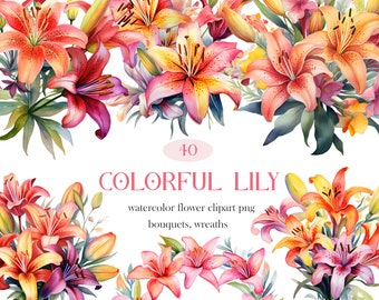 Colorful Lily PNG, Watercolor Lily Clipart, Bouquet, Wreath, Lily Sublimation, Lily Flower Clipart Bundle, Digital Download, Spring Floral