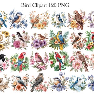 May include: A digital clipart set of 120 watercolor illustrations of birds with floral accents. The birds are depicted in various poses and colors, including bluebirds, cardinals, parrots, and robins. The flowers are in shades of pink, purple, yellow, and blue.