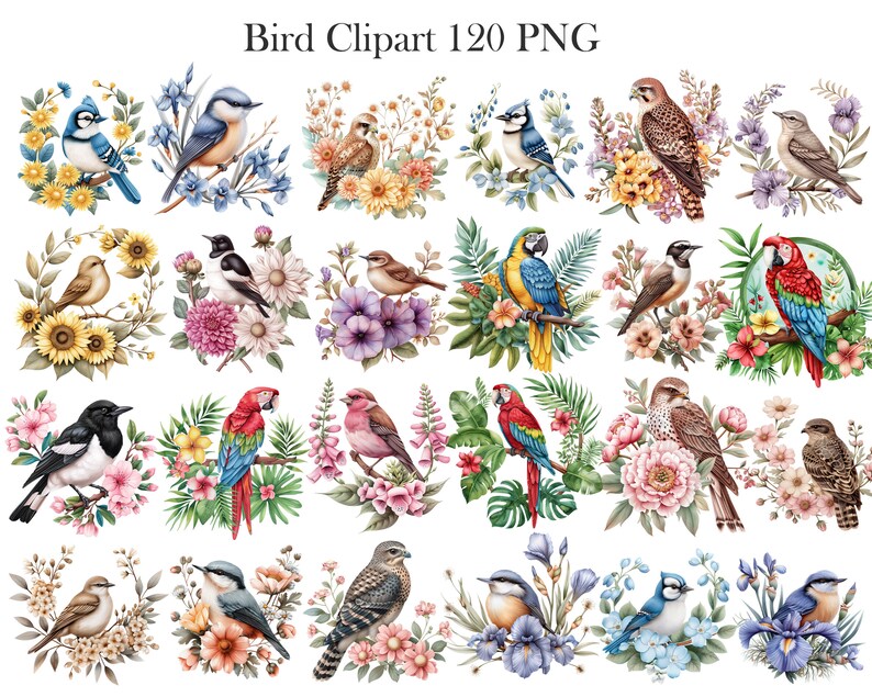 May include: A digital clipart set of 120 watercolor illustrations of birds with floral accents. The birds are depicted in various poses and colors, including bluebirds, cardinals, parrots, and robins. The flowers are in shades of pink, purple, yellow, and blue.