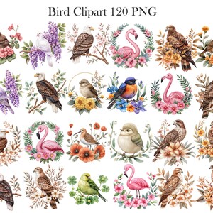 May include: A set of 120 watercolor bird clipart images. The images feature a variety of birds, including robins, cardinals, bluebirds, and owls. The birds are depicted in a variety of poses, including flying, perched, and singing. The images are perfect for use in scrapbooking, card making, and other craft projects.