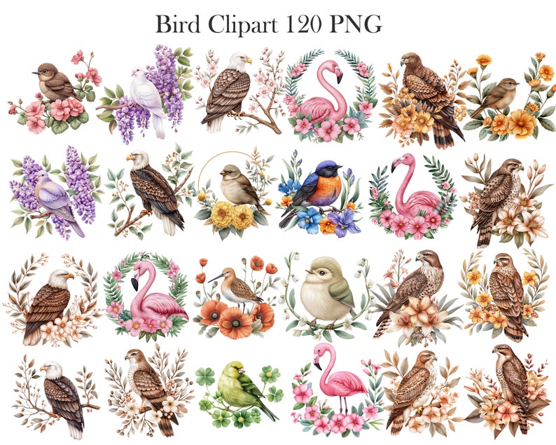 May include: A set of 120 watercolor bird clipart images. The images feature a variety of birds, including robins, cardinals, bluebirds, and owls. The birds are depicted in a variety of poses, including flying, perched, and singing. The images are perfect for use in scrapbooking, card making, and other craft projects.