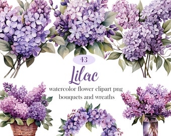May include: A set of 43 watercolor clipart images of lilac flowers in various arrangements, including bouquets and wreaths. The flowers are a mix of purple and light purple.