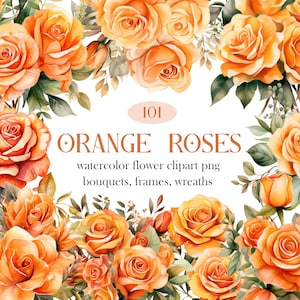 Orange Rose PNG, Watercolor Orange Rose Clipart Bundle, Wedding Bouquet PNG, Rose Wreath, Digital Download