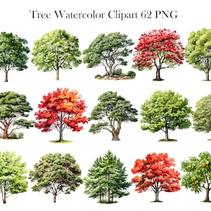 Pu&ograve; includere: Un set di 18 illustrazioni ad acquerello di vari alberi. Gli alberi sono raffigurati in diverse tonalit&agrave; di verde, rosso e arancione. Le illustrazioni sono perfette per aggiungere un tocco di natura ai tuoi progetti.