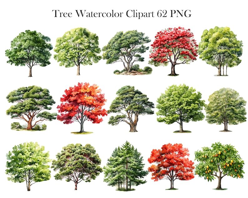 Pu&ograve; includere: Un set di 18 illustrazioni ad acquerello di vari alberi. Gli alberi sono raffigurati in diverse tonalit&agrave; di verde, rosso e arancione. Le illustrazioni sono perfette per aggiungere un tocco di natura ai tuoi progetti.