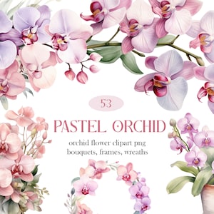 Pastelorchidee PNG, aquarel orchidee clipartbundel, bloemen boeket krans clipart, lentebloem, digitale download