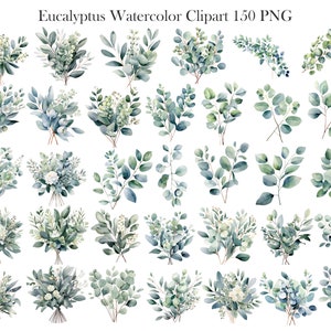 May include: A set of 36 watercolor illustrations of eucalyptus leaves and branches in shades of green and white. The illustrations are perfect for creating invitations, cards, and other paper crafts.