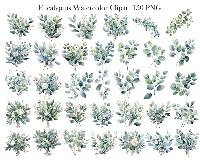 Eucalyptus PNG, Watercolor Eucalyptus Clipart Bundle, Greenery Clipart, Green Leaves, Eucalyptus Border Wreath, Wedding Clipart, Foliage image 4
