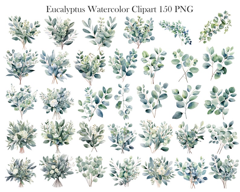 May include: A set of 36 watercolor illustrations of eucalyptus leaves and branches in shades of green and white. The illustrations are perfect for creating invitations, cards, and other paper crafts.