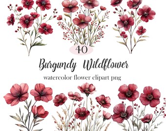 Burgundy Wildflower PNG, Watercolor Floral Clipart, Digital Download