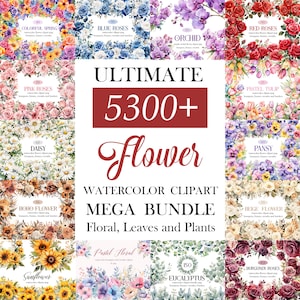 Bloem clipartbundel, aquarel bloemen clipart, bloem PNG bundel, sublimatie, bloemboeket, krans, digitale download