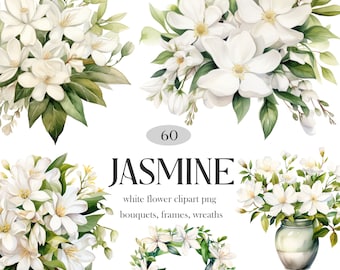 May include: 60 watercolor illustrations of white jasmine flowers in bouquets, wreaths, and frames. The flowers are painted in a realistic style with delicate details.
