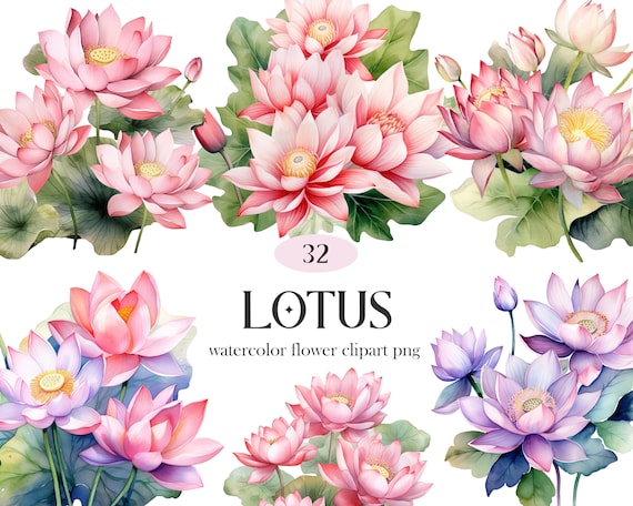 Lotus Clipart, Watercolor Lotus Flower Clipart Bundle, Lotus PNG, Water Lily Clipart, Wreath, Spring Floral, Sublimation, Digital Download