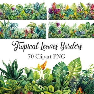 Tropische bladeren grens clipart, aquarel tropisch blad png, groen clipart, gebladerte, zomer, digitale download