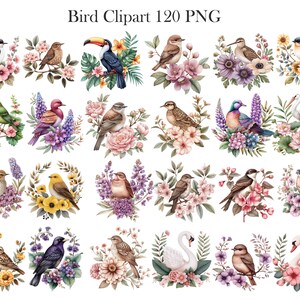 May include: A set of 20 digital clipart images featuring watercolor illustrations of birds with floral arrangements. The birds are depicted in various poses and colors, including bluebirds, robins, hummingbirds, and swans. The flowers are a mix of pink, purple, and yellow.