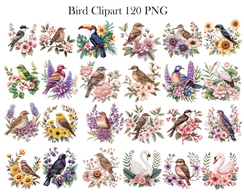 May include: A set of 20 digital clipart images featuring watercolor illustrations of birds with floral arrangements. The birds are depicted in various poses and colors, including bluebirds, robins, hummingbirds, and swans. The flowers are a mix of pink, purple, and yellow.