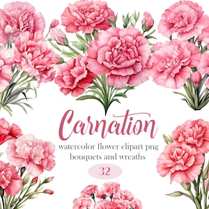 Carnation Clipart, Watercolor Floral Clipart Bundle, Carnation PNG, Wedding Bouquet, Spring Flower Clipart, Pink Floral, Digital Download