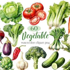 Imágenes prediseñadas de verduras, paquete PNG de verduras en acuarela, imágenes prediseñadas de comida, sublimación, brócoli, tomate, zanahoria, descarga digital