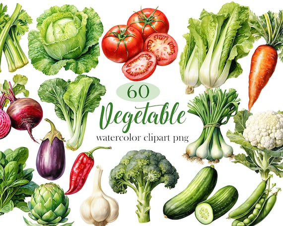 Vegetable Clipart, Watercolor Vegetables PNG Bundle, Veggie, Food Clipart, Sublimation, Broccoli, Tomato, Carrot, Digital Download