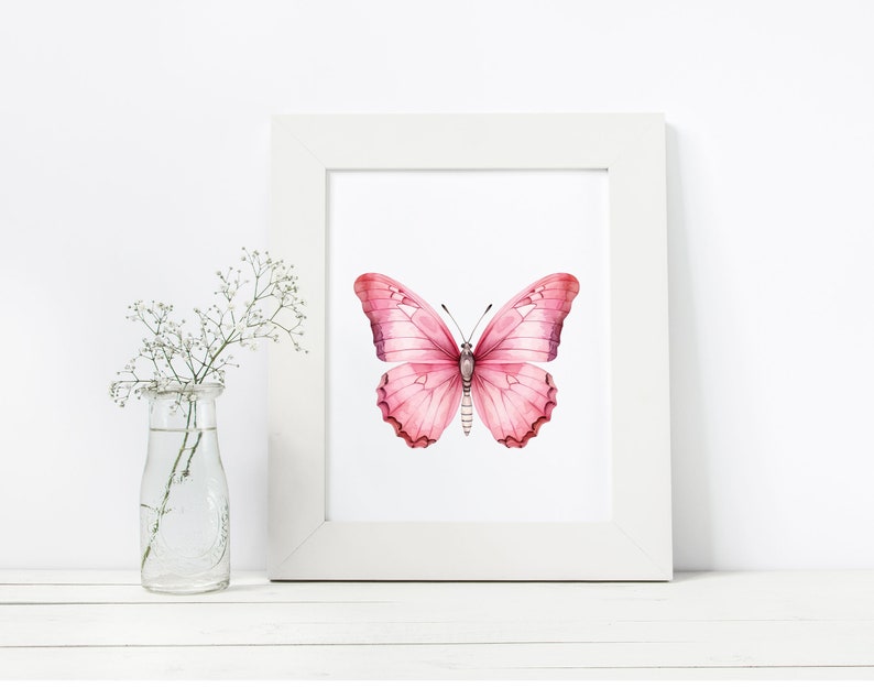 May include: A white frame with a pink butterfly illustration inside. The butterfly has a light pink body and dark pink wings.