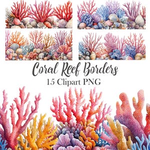 Korallrevgräns Clipart, Snäckskal, Sommar PNG, Digital Nedladdning
