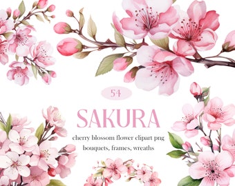 Kersenbloesem bloem clipart, aquarel roze Sakura PNG, bruiloft bloemen, bloem sublimatie, digitale download