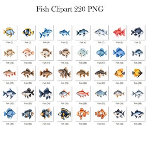 May include: A set of 50 watercolor illustrations of various fish. The fish are depicted in a variety of colors, including blue, red, orange, yellow, and green. The illustrations are perfect for use in digital or printed projects.