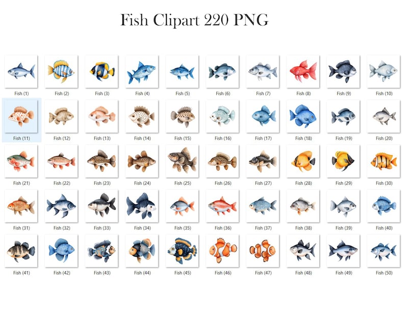 May include: A set of 50 watercolor illustrations of various fish. The fish are depicted in a variety of colors, including blue, red, orange, yellow, and green. The illustrations are perfect for use in digital or printed projects.