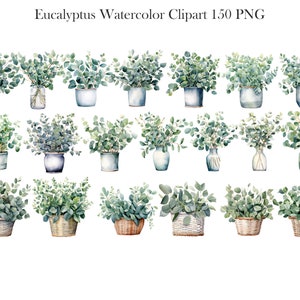 May include: A set of 20 watercolor illustrations of eucalyptus plants in various pots and baskets. The plants are green and the pots are white, blue, and brown.