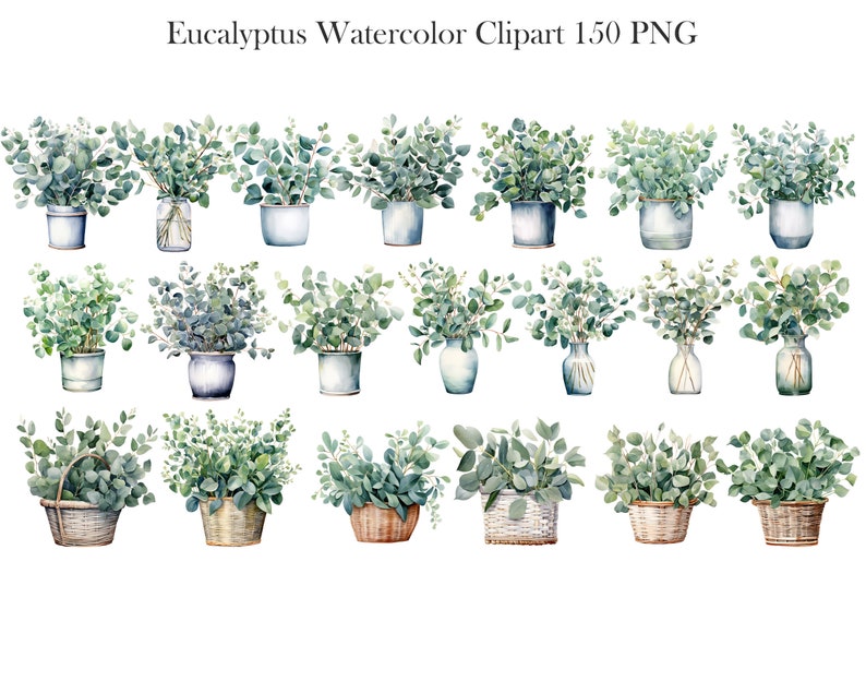 May include: A set of 20 watercolor illustrations of eucalyptus plants in various pots and baskets. The plants are green and the pots are white, blue, and brown.