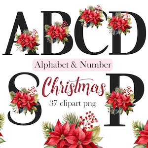Christmas Flower Alphabet Clipart, Christmas Alphabet PNG, Letters Clipart, Number, Poinsettia, Sublimation, Digital Download