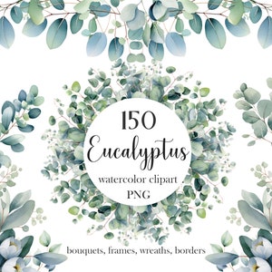 Eucalyptus PNG, Watercolor Eucalyptus Clipart Bundle, Greenery Clipart, Green Leaves, Eucalyptus Border Wreath, Wedding Clipart, Foliage image 8