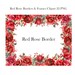 Red Rose Border Clipart, Watercolor Rose Border PNG Bundle, Flower ...