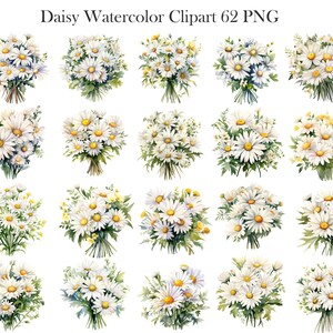 May include: A set of 20 watercolour illustrations of daisy bouquets. The daisies are white with yellow centres and are arranged in a variety of bouquets with green leaves.