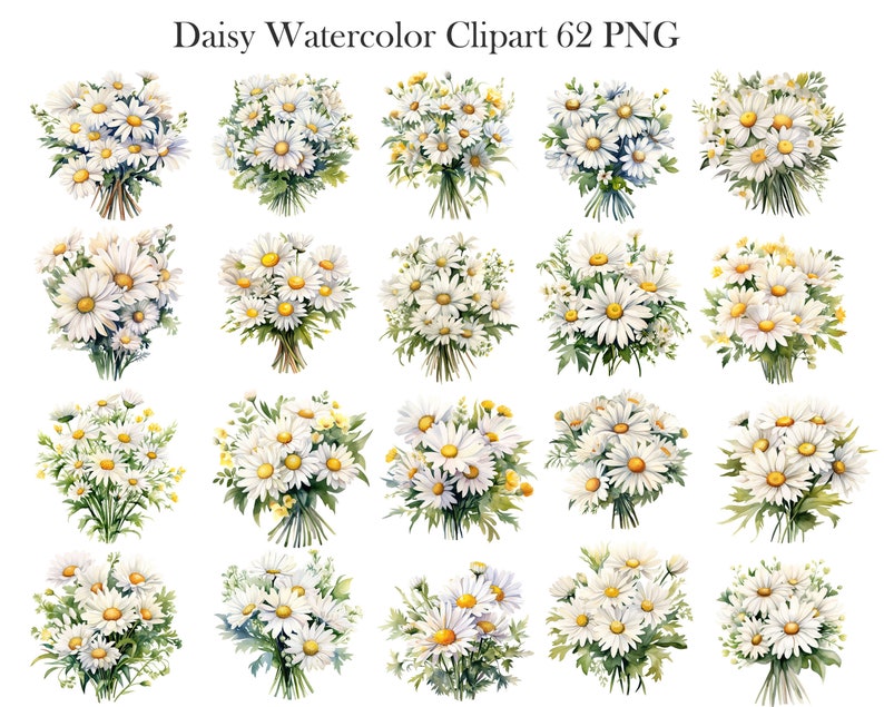 May include: A set of 20 watercolour illustrations of daisy bouquets. The daisies are white with yellow centres and are arranged in a variety of bouquets with green leaves.