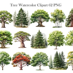 Pu&ograve; includere: Un set di 12 illustrazioni ad acquerello di vari alberi, tra cui quercia, pino, betulla e acero. Gli alberi sono dipinti in tonalit&agrave; di verde, marrone e rosso, e sono posizionati su uno sfondo bianco. Tree Watercolor Clipart 62 PNG