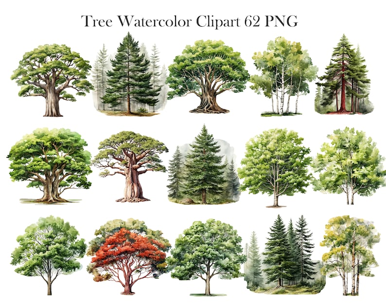 Pu&ograve; includere: Un set di 12 illustrazioni ad acquerello di vari alberi, tra cui quercia, pino, betulla e acero. Gli alberi sono dipinti in tonalit&agrave; di verde, marrone e rosso, e sono posizionati su uno sfondo bianco. Tree Watercolor Clipart 62 PNG