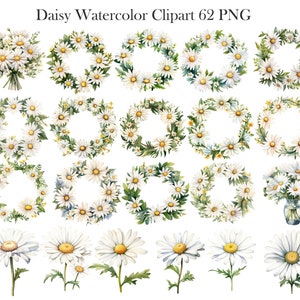 May include: A set of 22 watercolour illustrations of daisies, including wreaths, bouquets, and individual flowers. The daisies are white with yellow centres and green leaves.