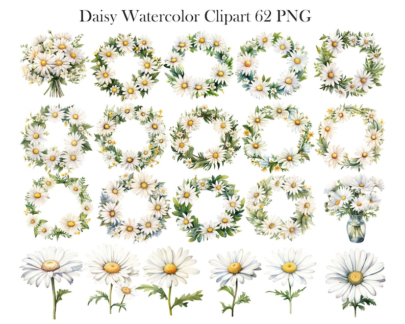 May include: A set of 22 watercolour illustrations of daisies, including wreaths, bouquets, and individual flowers. The daisies are white with yellow centres and green leaves.