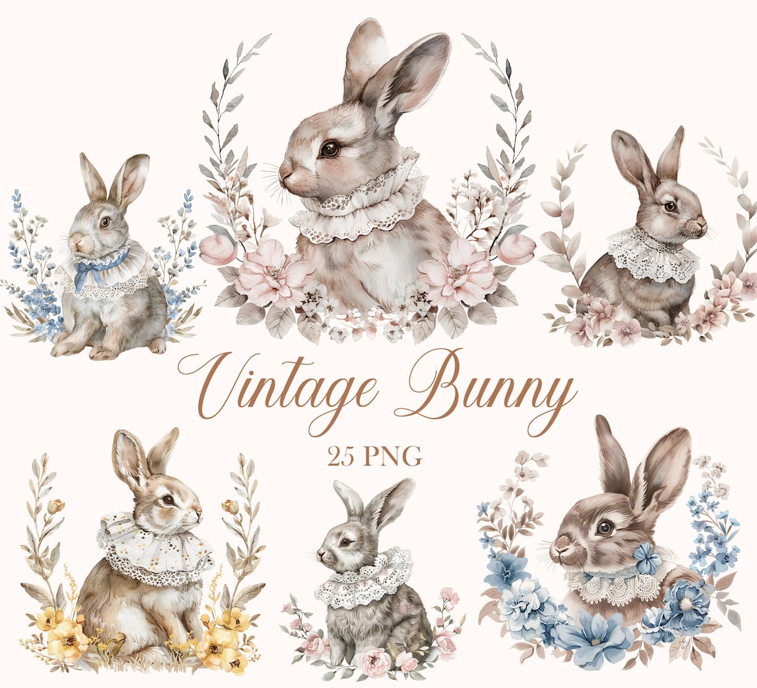 Bunny Clipart, Watercolor Bunnies Clipart Bundle, Vintage Rabbit PNG ...
