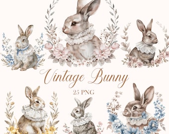Imágenes prediseñadas de conejito, paquete de imágenes prediseñadas de conejitos de acuarela, conejo vintage PNG, sublimación de conejitos, flor de conejito, Pascua, primavera, descarga digital