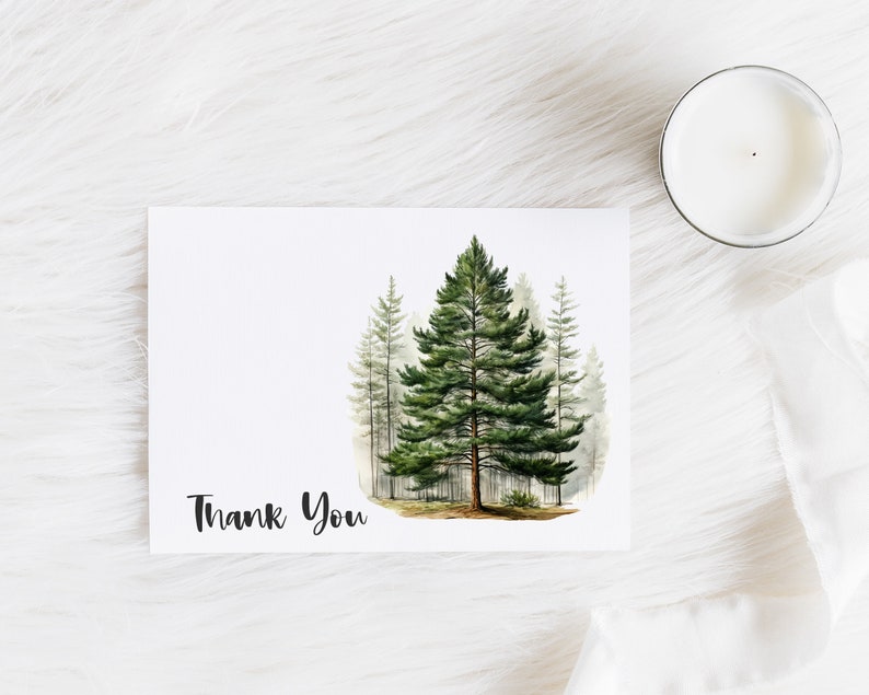 Pu&ograve; includere: Un'illustrazione ad acquerello di una scena di bosco con un alto pino al centro e alberi pi&ugrave; piccoli che lo circondano. Il testo "Grazie" &egrave; stampato sotto gli alberi.