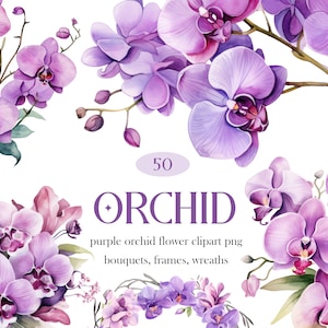 Clipartbundel paarse orchidee, aquarel orchidee png, bloemboeketkrans, orchideesublimatie