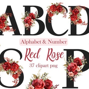 Clipart alphabet floral, PNG de l'alphabet rose rouge, aquarelle fleur lettres et chiffres, sublimation, téléchargement numérique