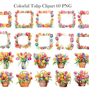 Colorful Tulip Watercolor Clipart, Tulip PNG, Watercolor Floral Clipart Bouquet Wreath, Spring Flower, Digital Download image 3