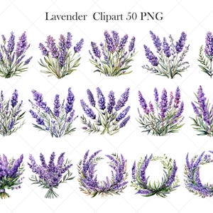 May include: A set of 50 watercolor illustrations of lavender flowers. The illustrations feature various arrangements of lavender flowers, including bouquets, wreaths, and individual sprigs. The flowers are depicted in shades of purple and green.