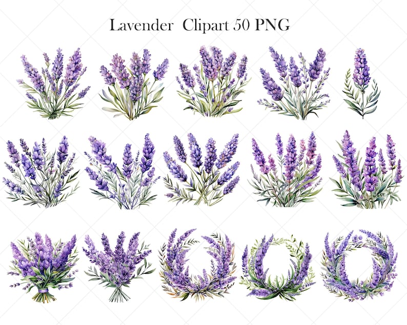 May include: A set of 50 watercolor illustrations of lavender flowers. The illustrations feature various arrangements of lavender flowers, including bouquets, wreaths, and individual sprigs. The flowers are depicted in shades of purple and green.